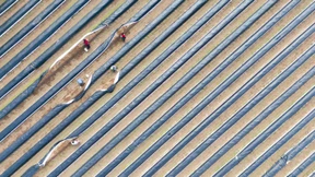 Biebesheim wird neue AfD-Hochburg in Hessen