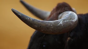 Mutter und Sohn sterben nach Attacke von Bullen