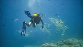 Die Märkte holen Luft und tauchen wieder ab