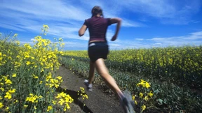 Woher kommt das T-Shirt?