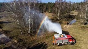 Özdemir fordert „große Eile“ beim Waldumbau