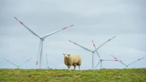 Makel in der Landschaft