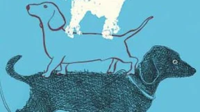 Viel Auslauf, klare Ansagen