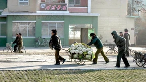 Schlechteste Ernte seit mehr als zehn Jahren