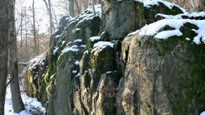 Der Stein bestimmte das Bewusstsein