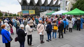 Eine Allianz gegen Orbán