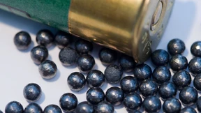 Rund 800 Kilogramm im Umlauf