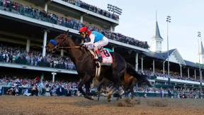 Die Salbe des Pferdeflüsterers