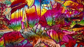 Dem Zucker auf der Spur