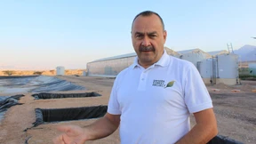 Gurken aus Solarstrom und Salzwasser