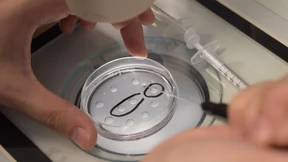 Kinderwunschfabriken immer schöpferischer