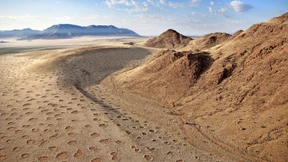 Rätsel der Feenkreise scheint gelöst