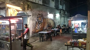 Im Zauberwald von Südostasien