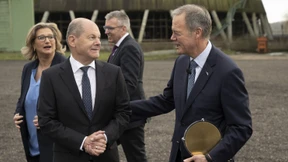 Chiphersteller Wolfspeed nähert sich der Insolvenz