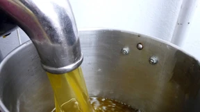 Olivenöl auf dem Prüfstand