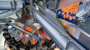 Tiefkühlmarke Frosta will Personal mit Schichtmodell locken