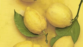 So nutzen Spitzenköche ihre blumige Säure