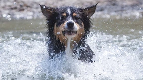 Nur minimale Abkühlung nach Rekordhitze