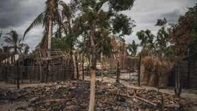 Das neue Gesicht des Dschihads