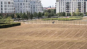 Keine Laube, nur noch Hoffnung