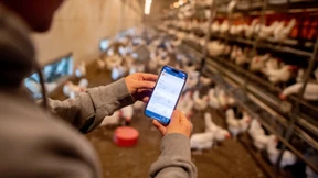 KI soll die Welt ernähren