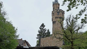 Hoffnung für den Schläferskopf