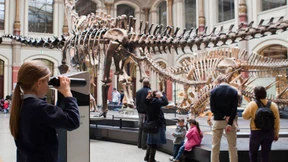 Geschichte vermitteln lernen