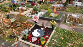 Immer mehr Einblicke ins Leben der Toten 