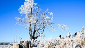 Knackige Arktisluft bringt im Januar Schnee