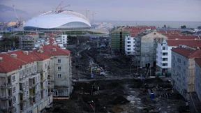 Unter einer Schicht aus Sägemehl