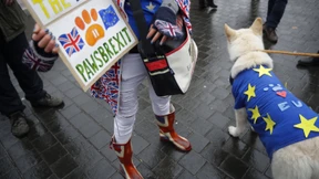 Das Brexit-Ei des Kolumbus