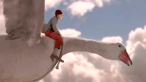 Die Seen und Wälder, sie rauschen vorbei