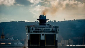 Millionen Tote und deutliche Intelligenzeinbußen