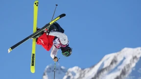 Flugshow auf höchstem Niveau