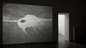 Es weht ein frischer Wind