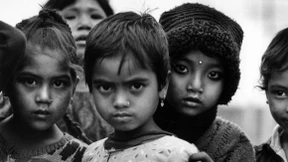 Doch am Ende ist der Mensch nur ein Insekt