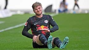 Schluss mit der Werner-Kritik!