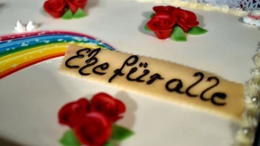 Wenn Gesetze schneller als Gedanken sind