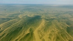 Das Gift in der Ostsee