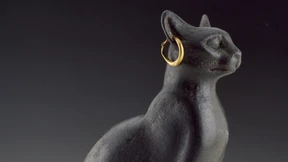 Die Erbin des Imperiums