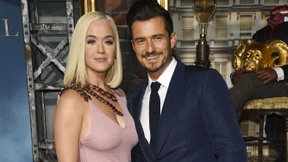 Von tierisch inspiriert bis außerirdisch irritiert