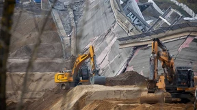 Das 300 Blauwale schwere schlechte Gewissen