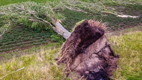 Grüne Anlageberatung