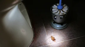 Igitt – machst Du das wirklich?