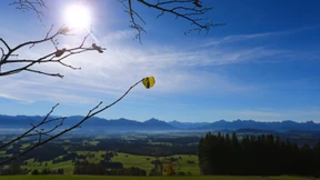 Hurra, es gibt sie noch!