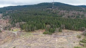 Geld für Waldbesitzer