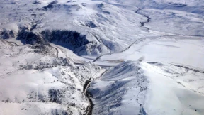 Das Leben da draußen