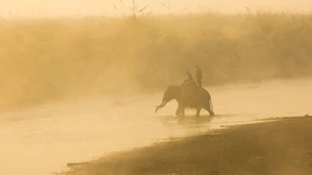 Das Waterboarding der Wildhüter