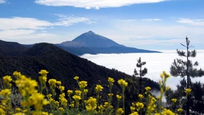 Auf der Insel laufen die Uhren rückwärts