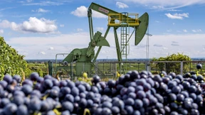 Frisches Öl aus deutschen Landen